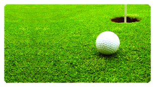 DSC700 342 Gone Golfing (Balls)